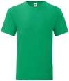 SS621/61430/SS144 Iconic 150 T-Shirt Kelly Green colour image